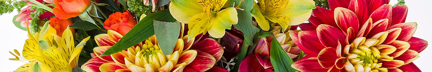 Fall Flowers
